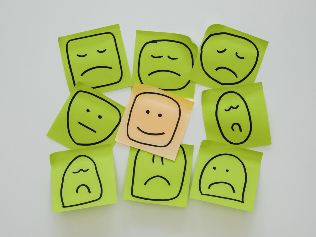 regulação emocional